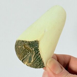 Genuine Pirarucu (Arapaima) Fish Scale – 2.75” Natural Amazon Armor Specimen